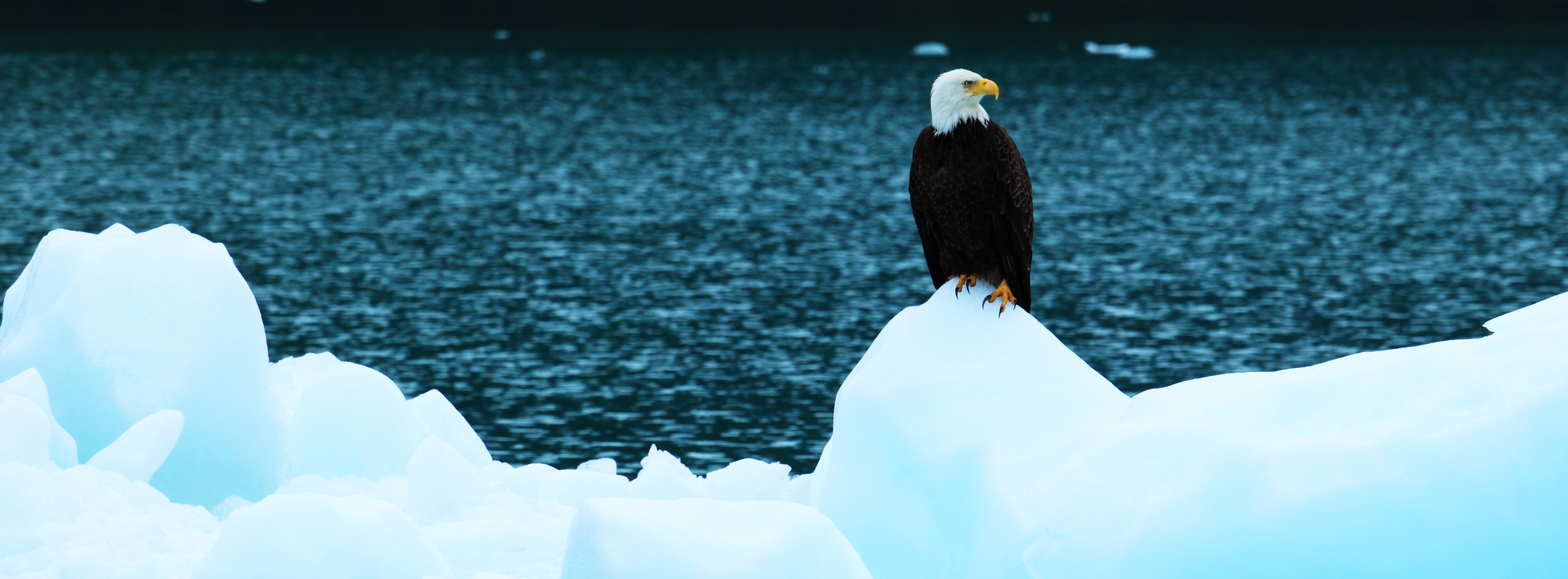 image of Alaska
