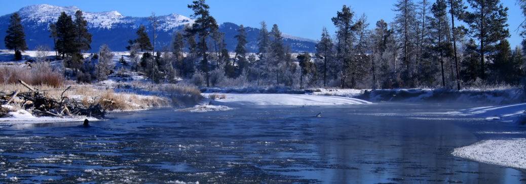 Image of a Idaho Lake
