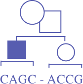 image of cagc-accg